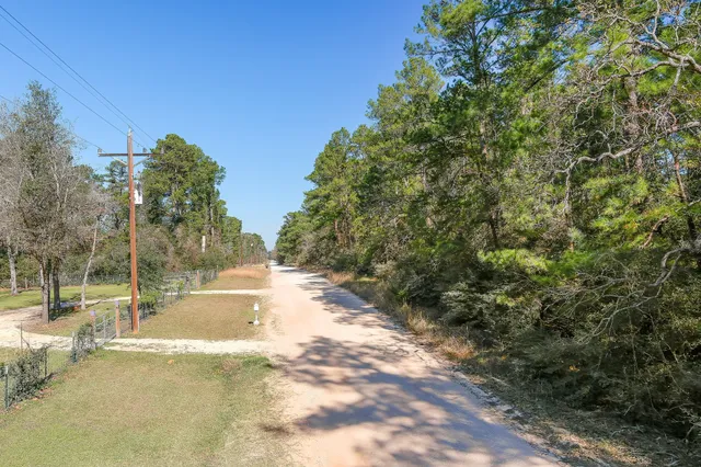 a view of a yard with trees in the background