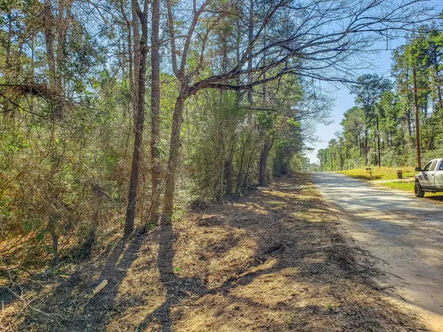 a view of a yard with plants and trees