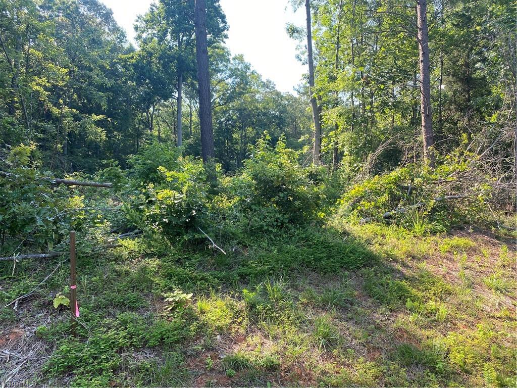 2555-2615 Beckner Road Lexington, NC 27292 - Photo 1 of 4 Gallery Image 1