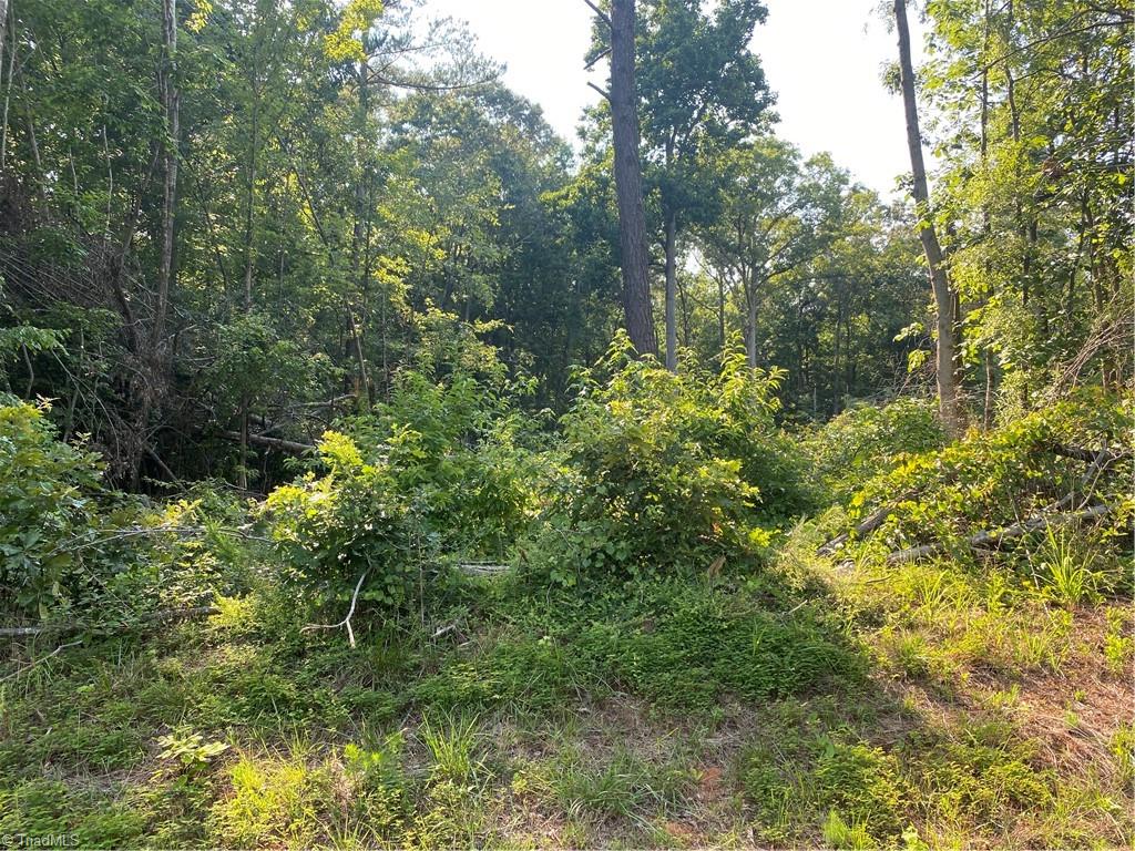 2555-2615 Beckner Road Lexington, NC 27292 - Photo 2 of 4 Gallery Image 2