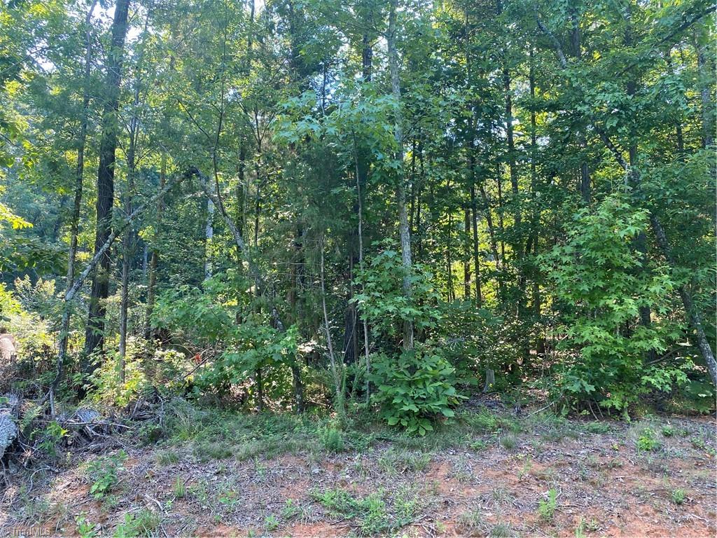 2555-2615 Beckner Road Lexington, NC 27292 - Photo 3 of 4 Gallery Image 3