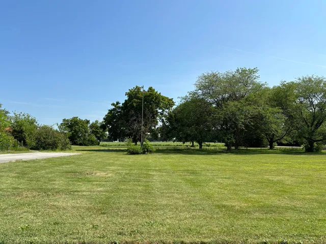 a view of a green field with trees in the background