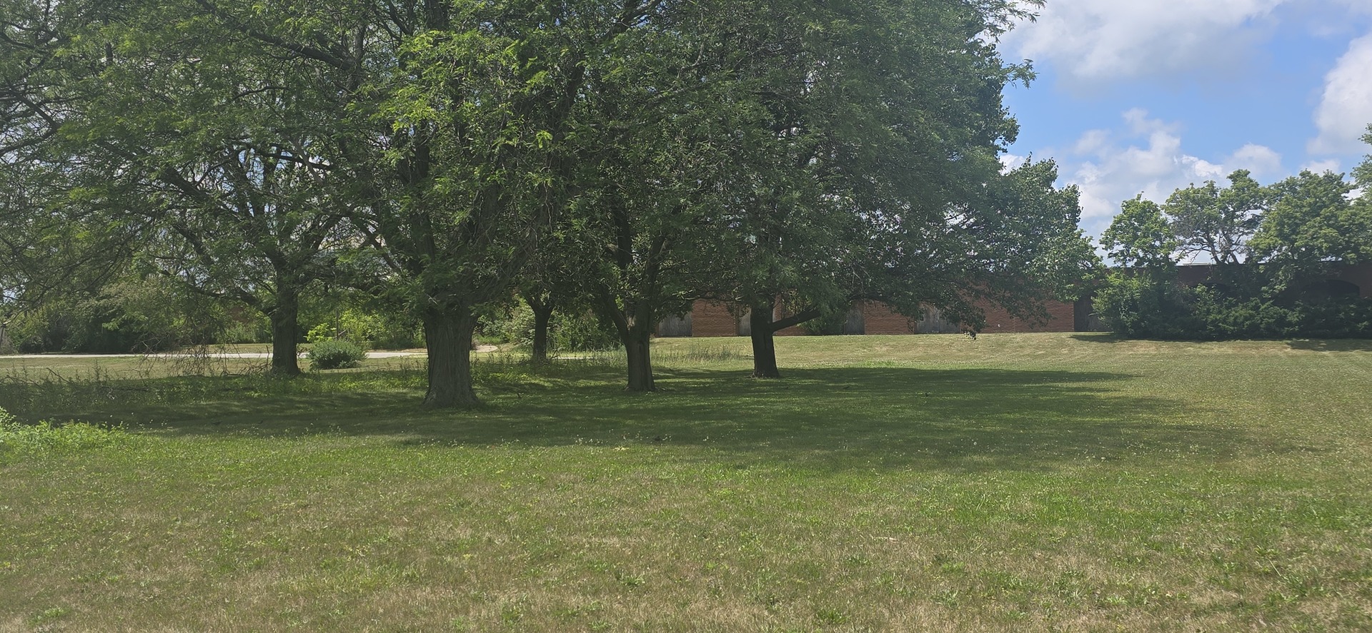 1240 North Market Street Paxton, IL 60957 - Photo 19 of 30 a view of a park