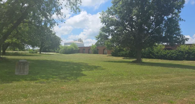 a view of a field with trees