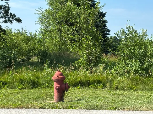 a view of a garden with a fountain
