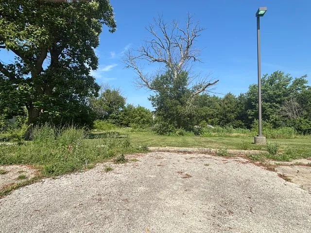 a view of a yard with a tree
