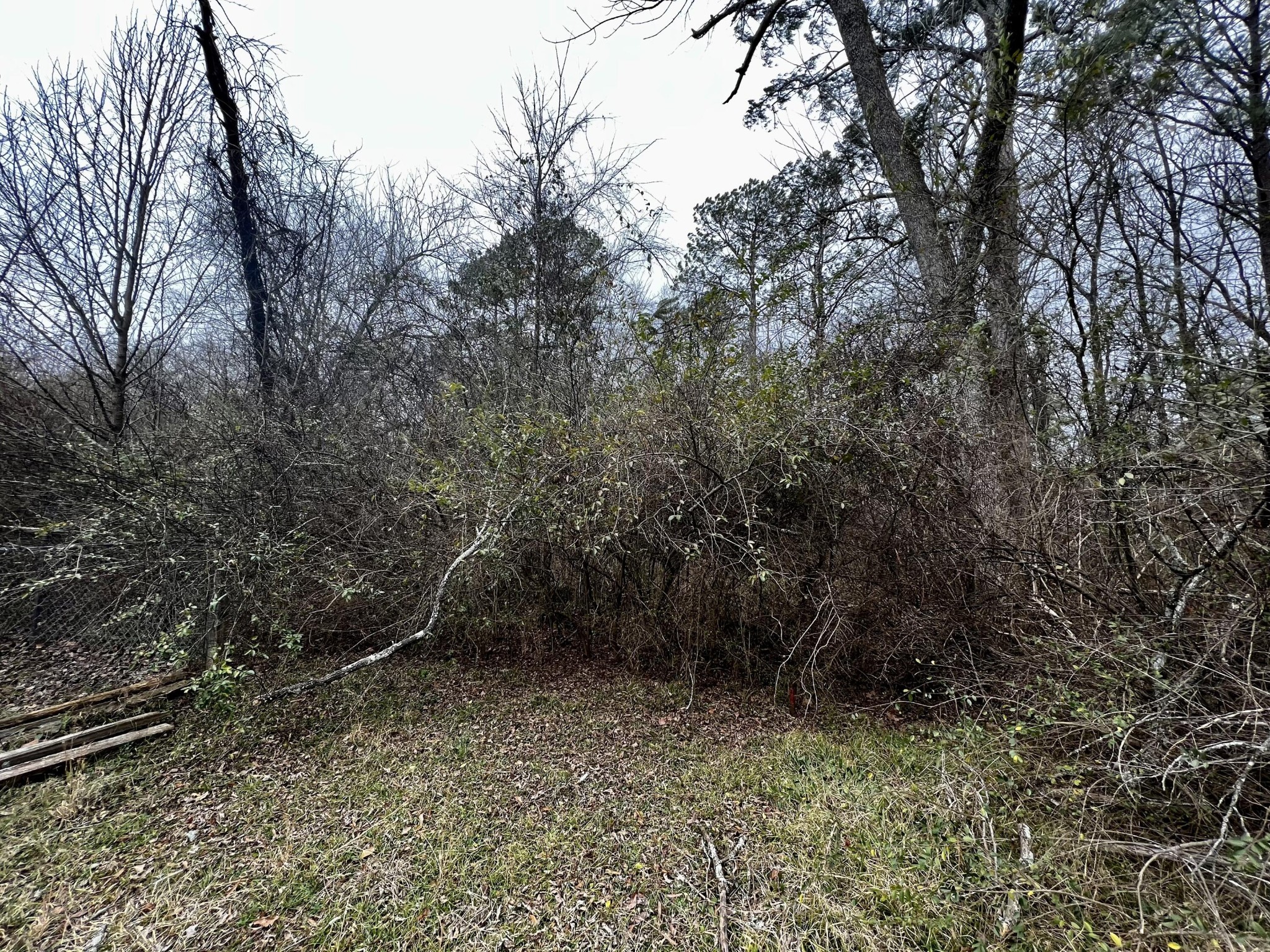 1117 McBrien Road Chattanooga, TN 37412 - Photo 3 of 5 Gallery Image 3