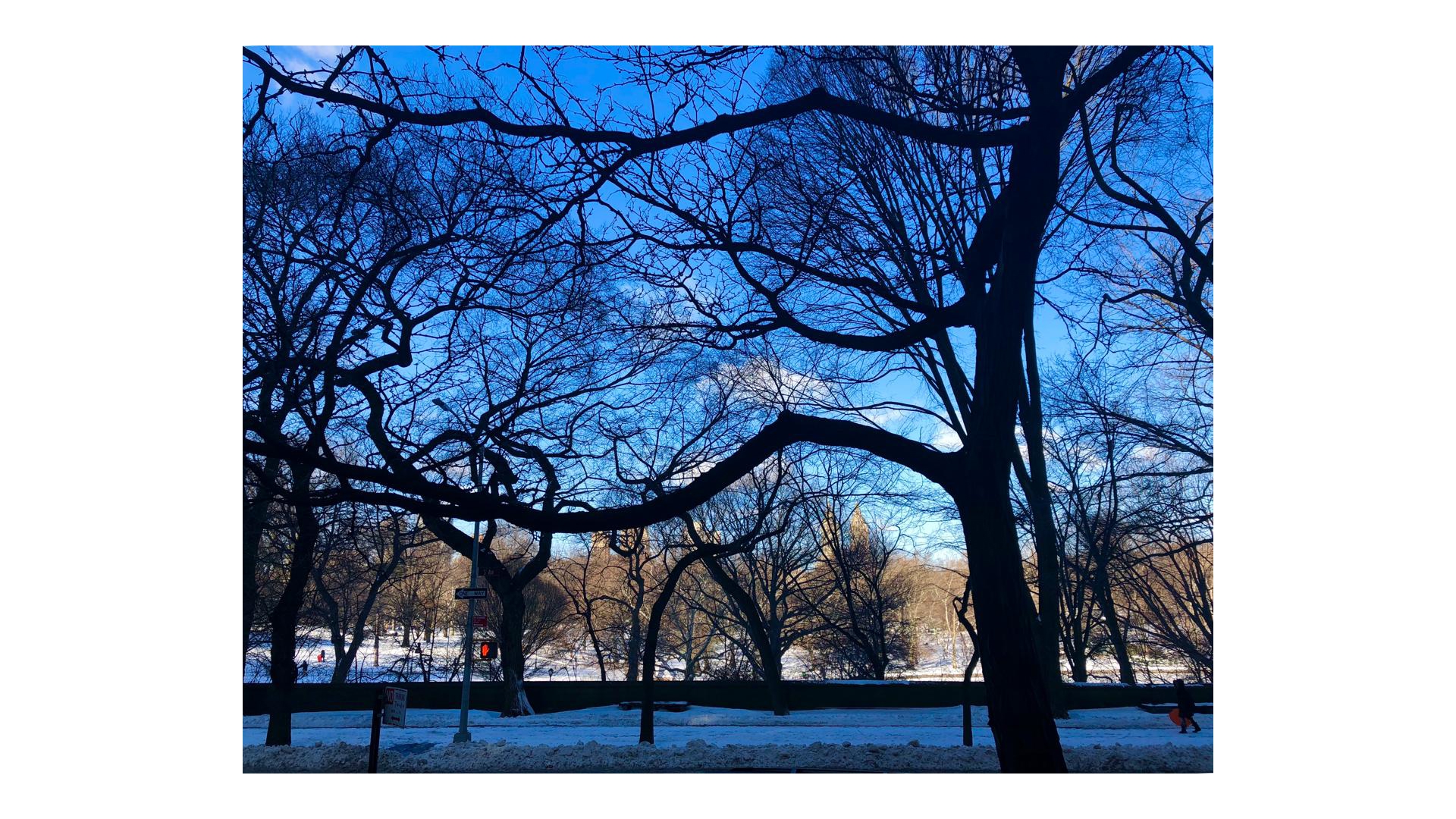 923 5th Avenue, Unit 2C Manhattan, NY 10021 - Photo 13 of 14