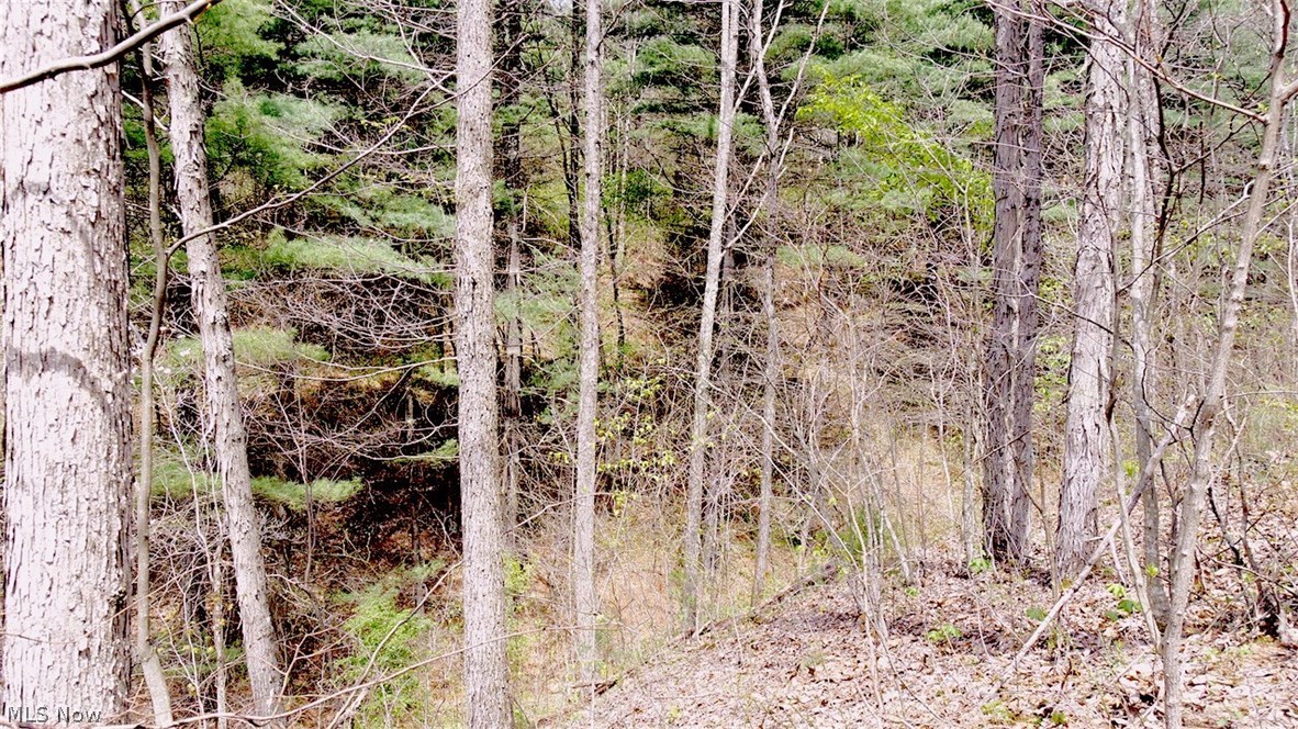 Mt Hope Ridge Road Graysville, OH 45734 - Photo 9 of 21 Gallery Image 9