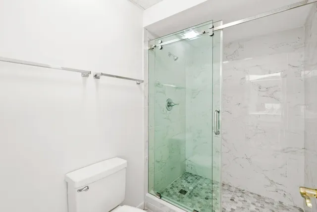 a bathroom with a shower and a toilet