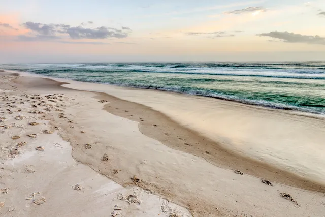 a view of beach and ocean