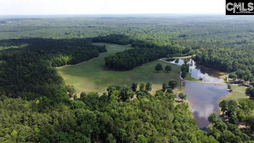 3296 Flat Rock Road Kershaw, SC 29067 - Photo 34 of 94