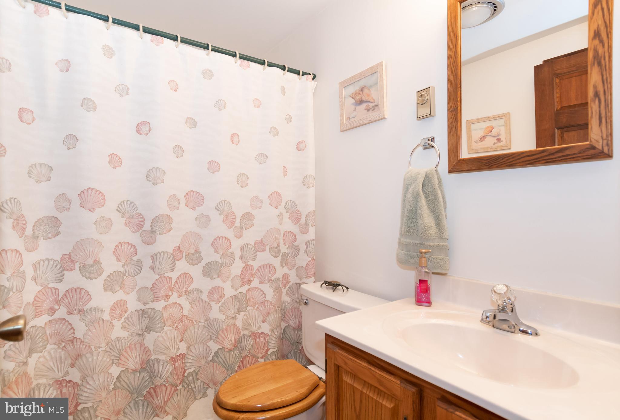 23015 Bay Shore Road Chestertown, MD 21620 - Photo 13 of 35 Main level Bath