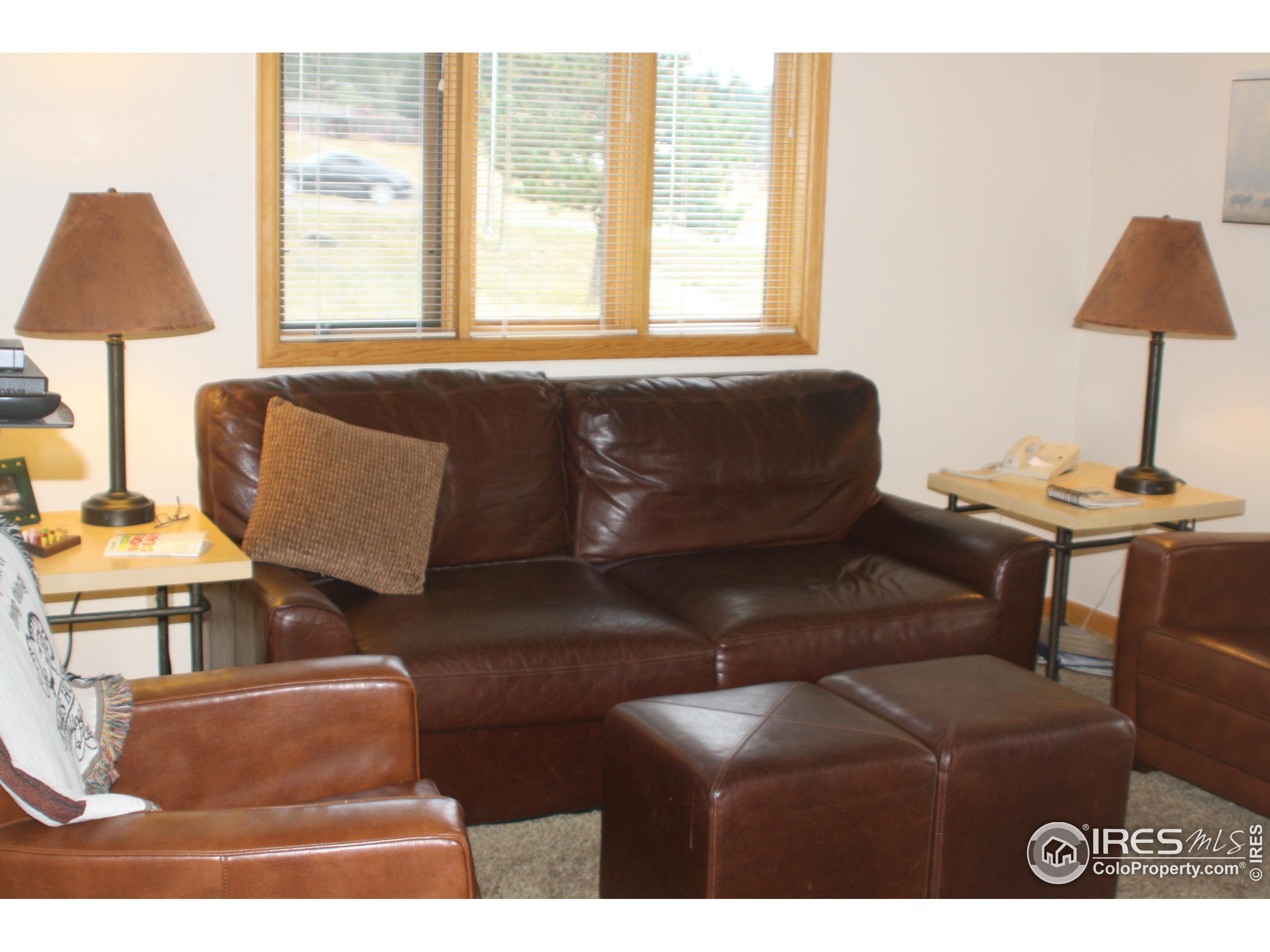 1565 Highway 66, Unit 28 Estes Park, CO 80517 - Photo 13 of 26