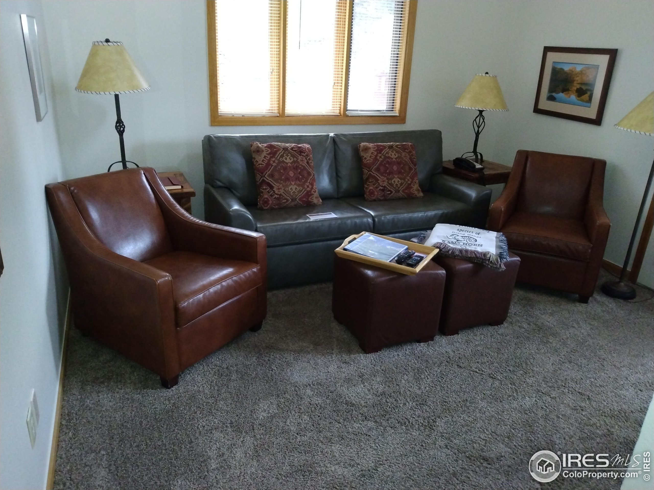 1565 Highway 66, Unit 28 Estes Park, CO 80517 - Photo 4 of 26