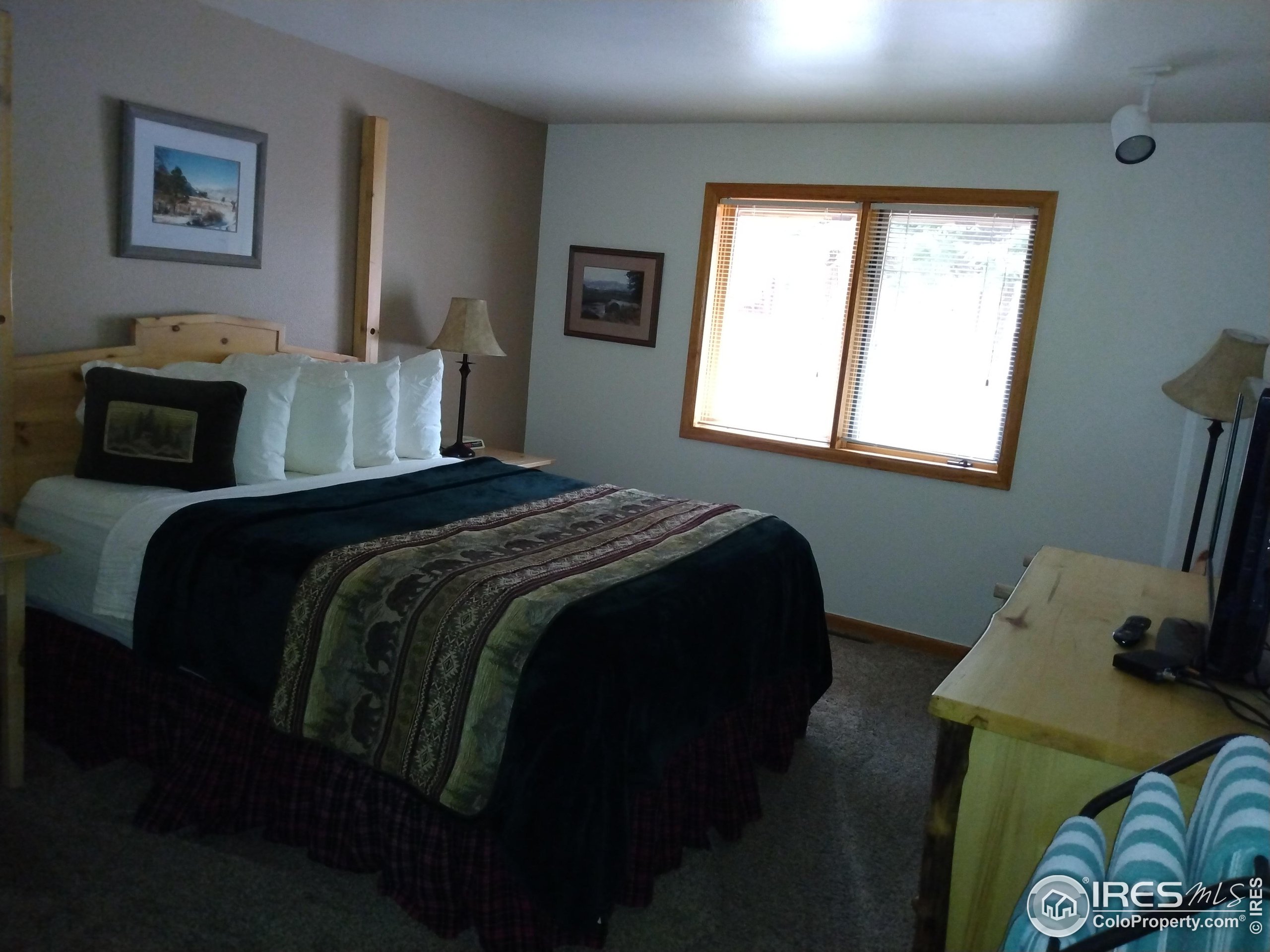 1565 Highway 66, Unit 28 Estes Park, CO 80517 - Photo 8 of 26