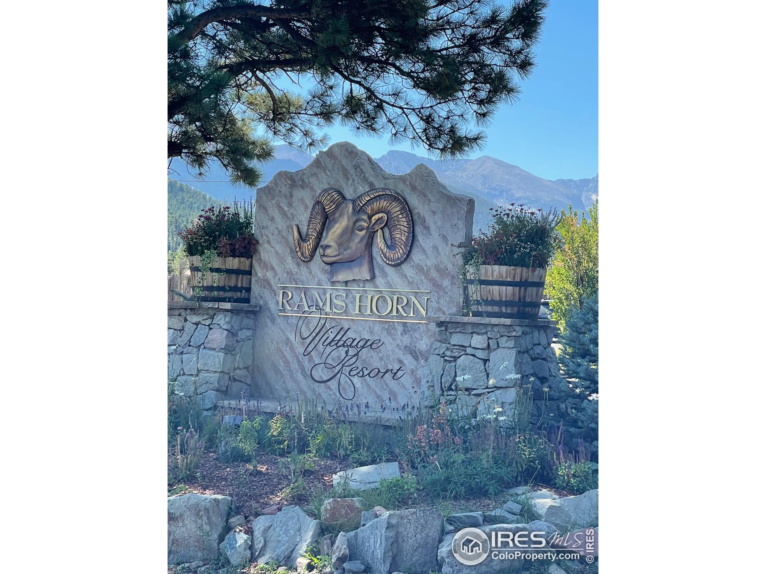 1565 Highway 66, Unit 28 Estes Park, CO 80517 - Photo 10 of 26