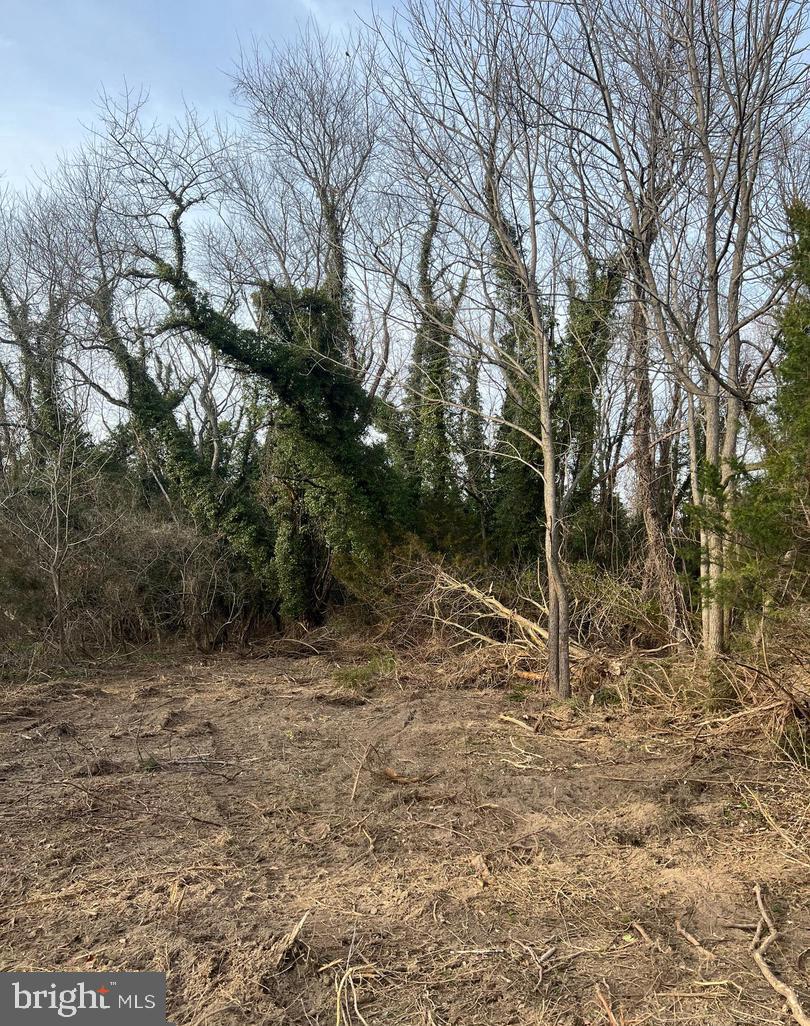 355 Greenwich Road Bridgeton, NJ 08302 - Photo 6 of 8