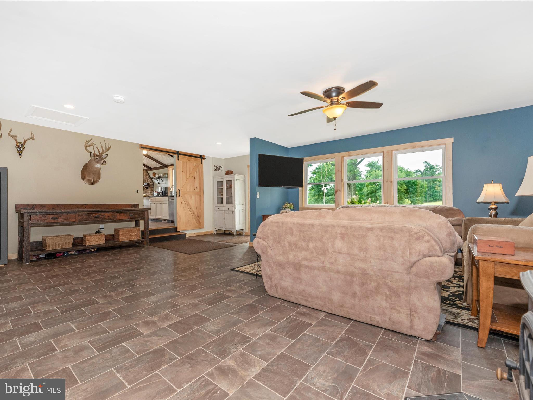 5618 Mt Briar Road Keedysville, MD 21756 - Photo 11 of 59 Living Room