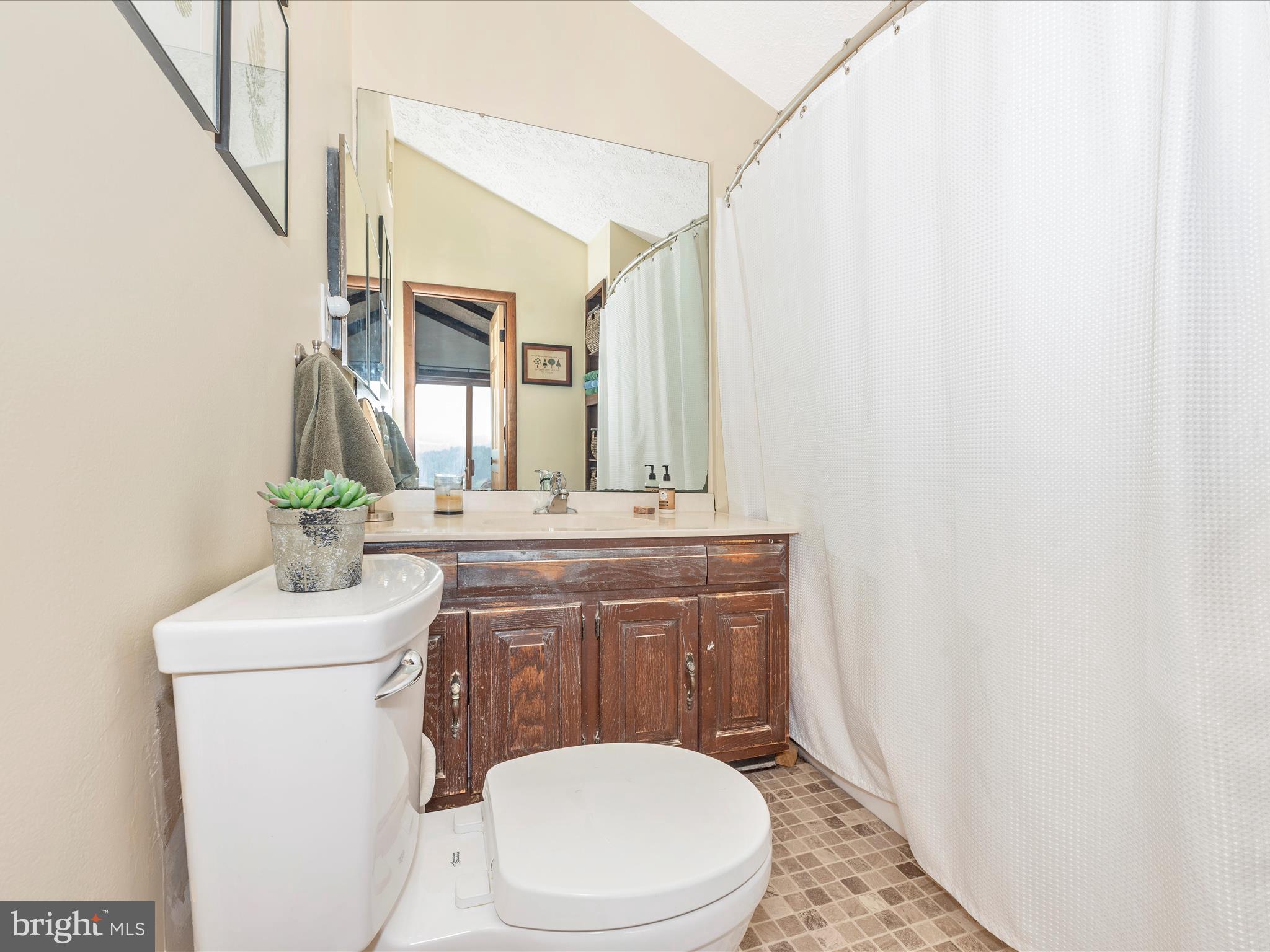 5618 Mt Briar Road Keedysville, MD 21756 - Photo 39 of 59 Hall Bathroom