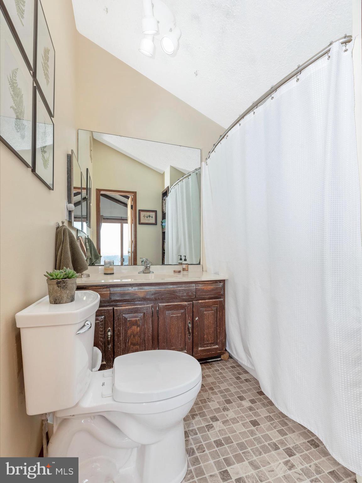 5618 Mt Briar Road Keedysville, MD 21756 - Photo 40 of 59 Hall Bathroom