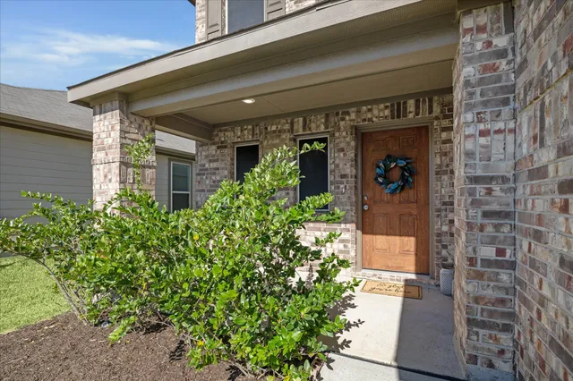 a potted plant in front of a building
