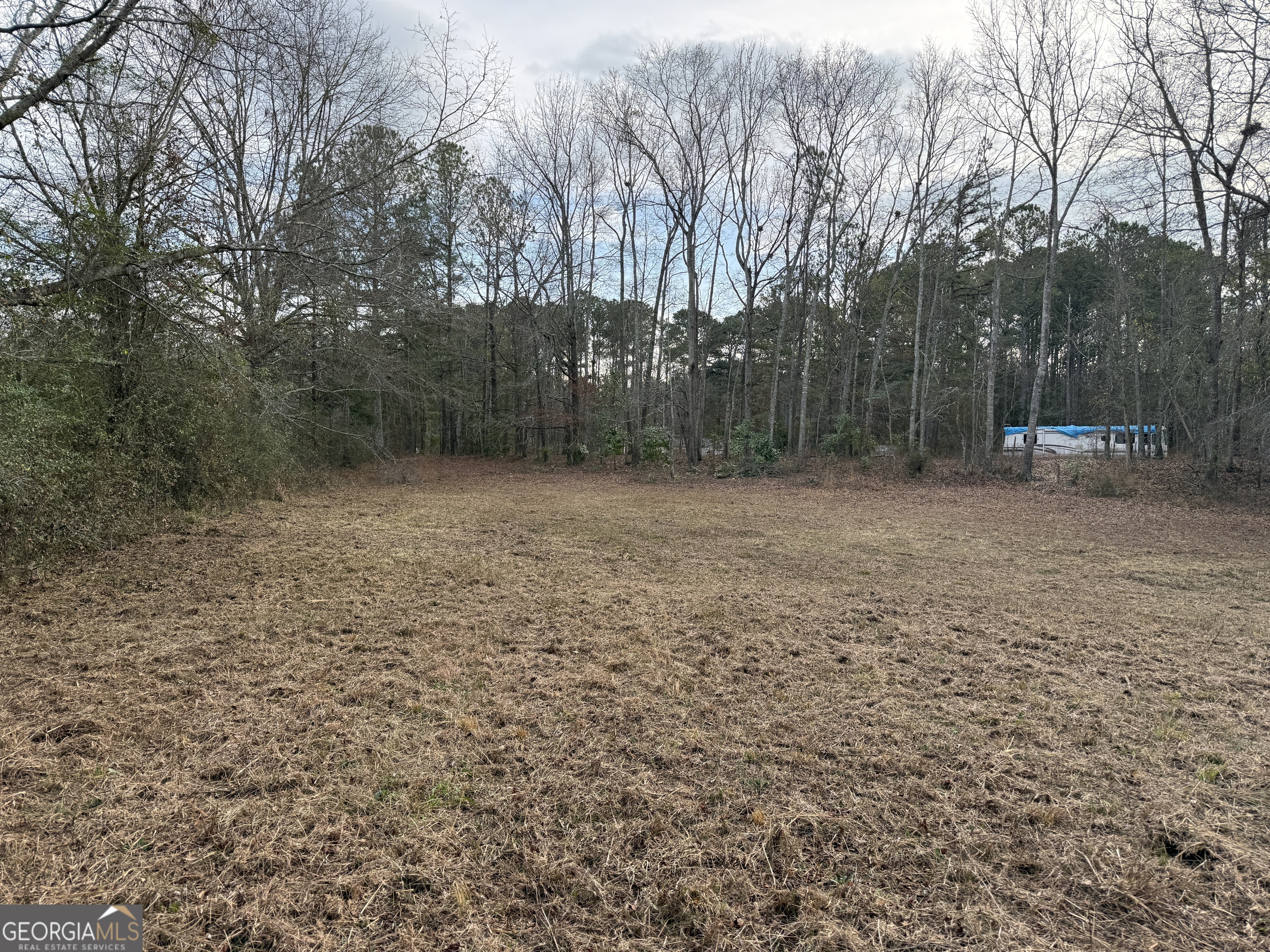 2.83-acres Williams Road Shiloh, GA 31826 - Photo 10 of 22