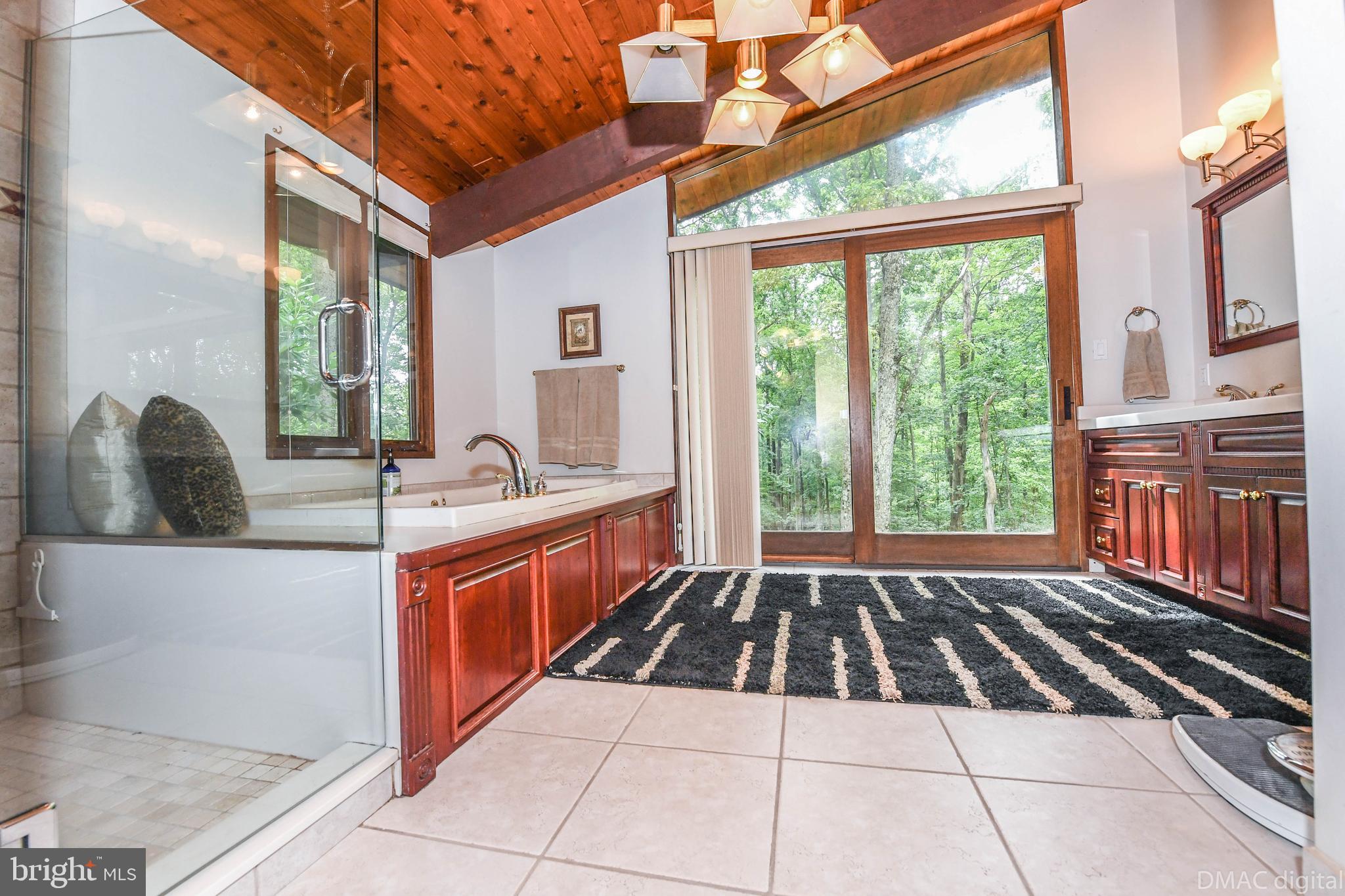 5429 Etzler Road Frederick, MD 21702 - Photo 29 of 61 Master bath w/soaking tub & separate shower