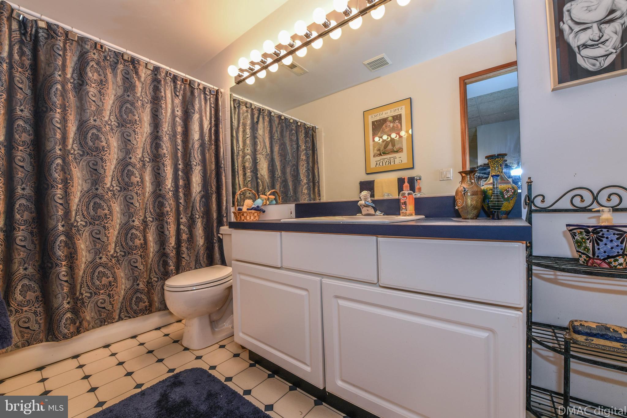 5429 Etzler Road Frederick, MD 21702 - Photo 38 of 61 Lower full bath