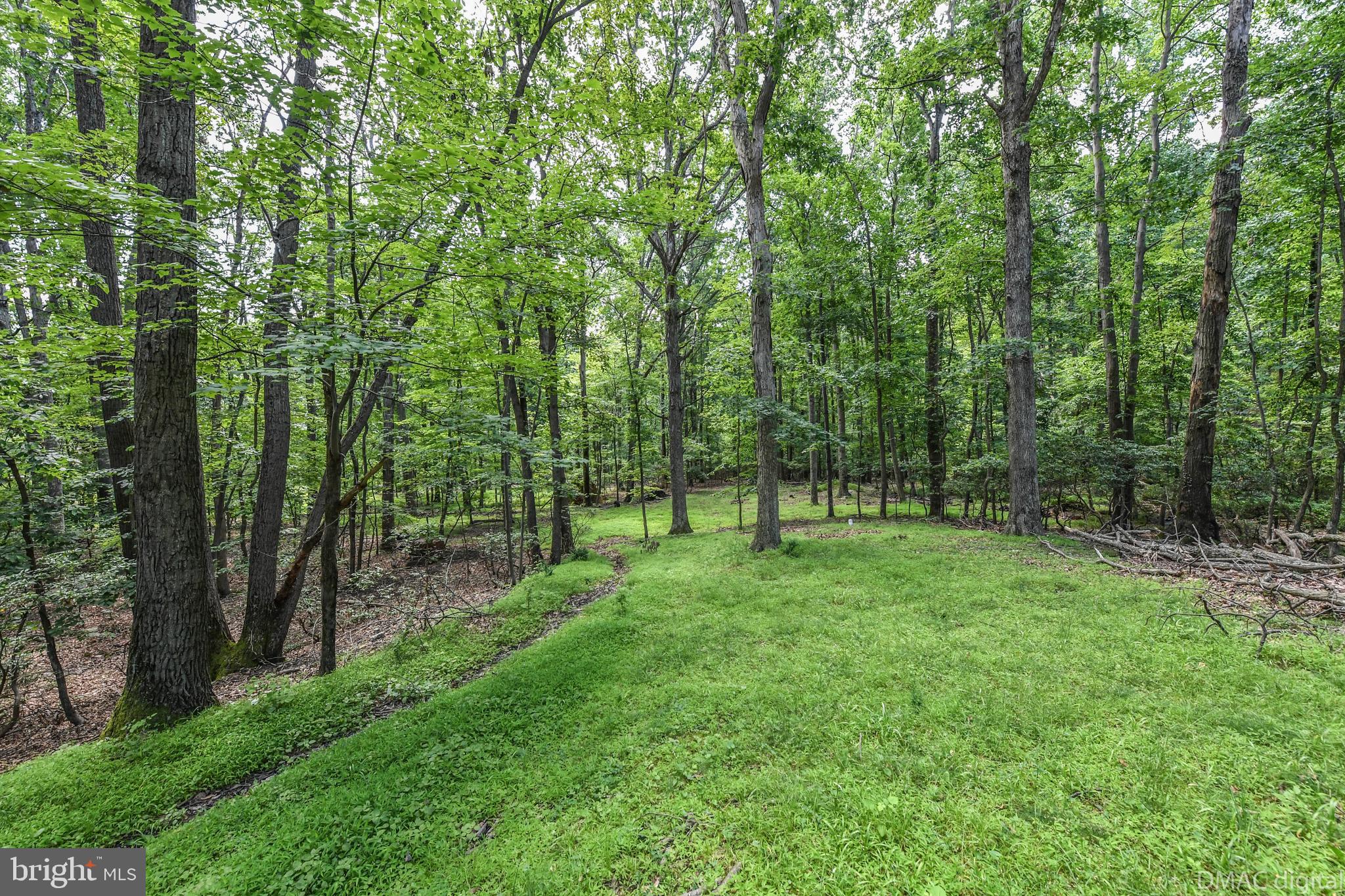 5429 Etzler Road Frederick, MD 21702 - Photo 51 of 61