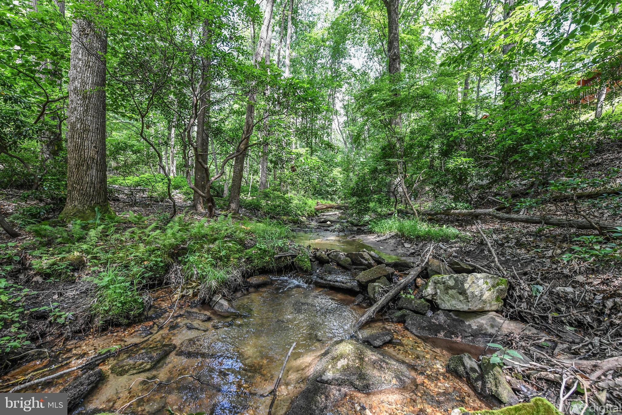 5429 Etzler Road Frederick, MD 21702 - Photo 53 of 61 Great overlooks private stream