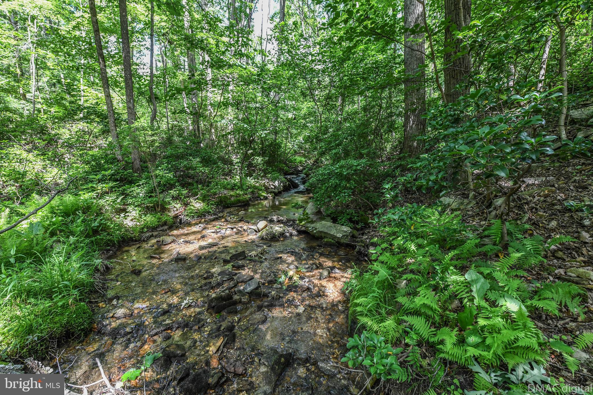 5429 Etzler Road Frederick, MD 21702 - Photo 54 of 61