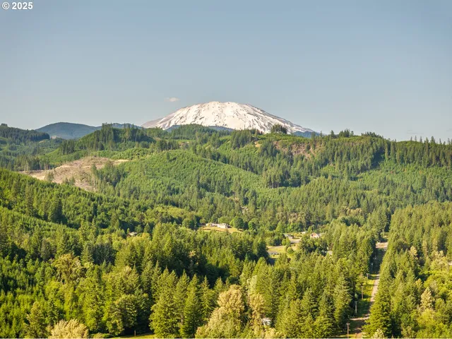 $650,000 | 305 Fir Road, Ariel, WA 98603