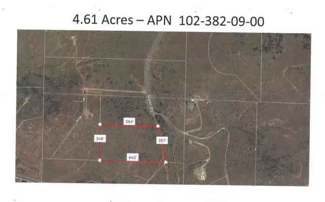 a view of a dry yard covered with trees