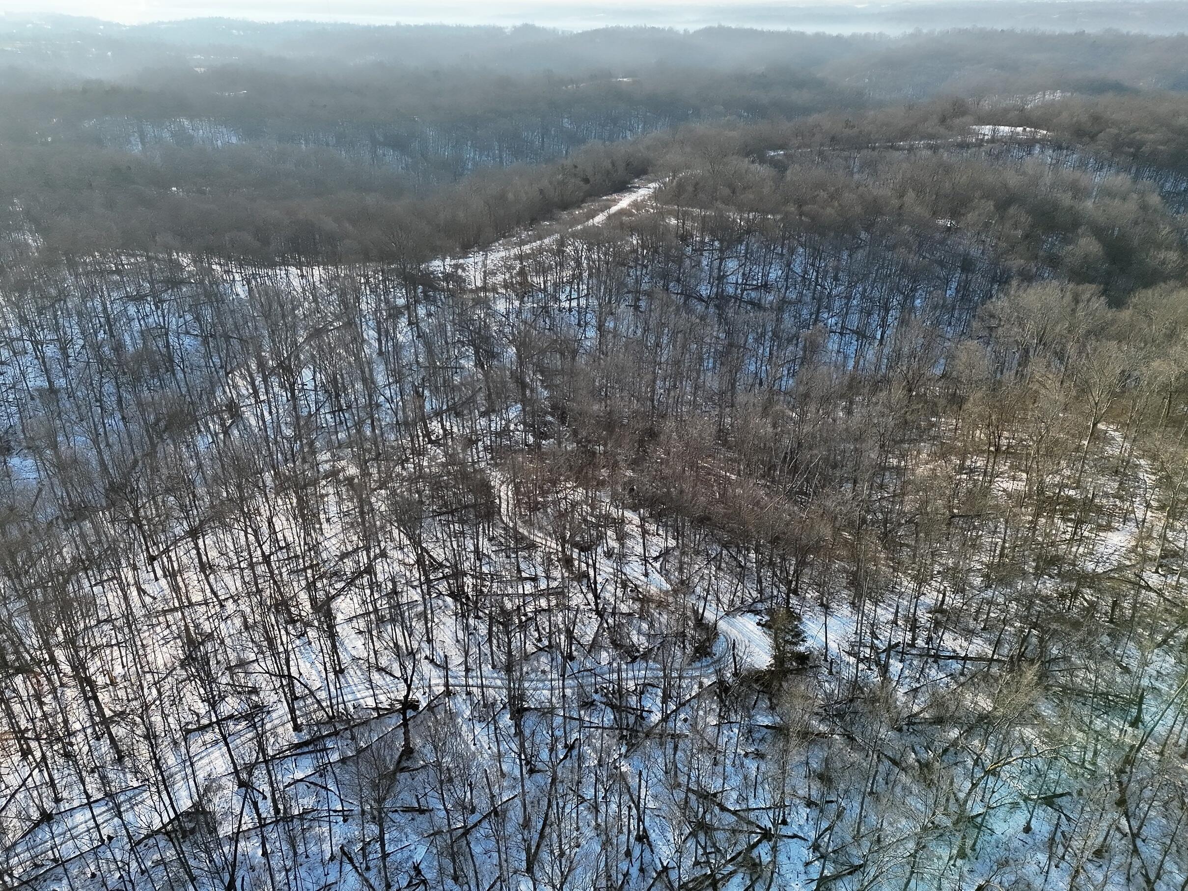 9268 State Rte 41 Aberdeen, OH 45101 - Photo 65 of 76 65