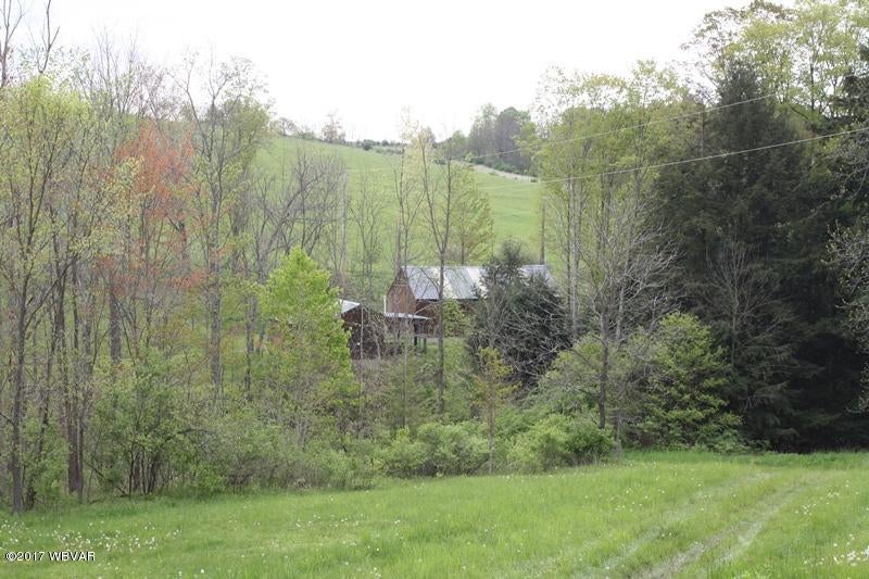 0 Monkey Run Road Middlebury Center, PA 16935 - Photo 11 of 18 IMG_0207