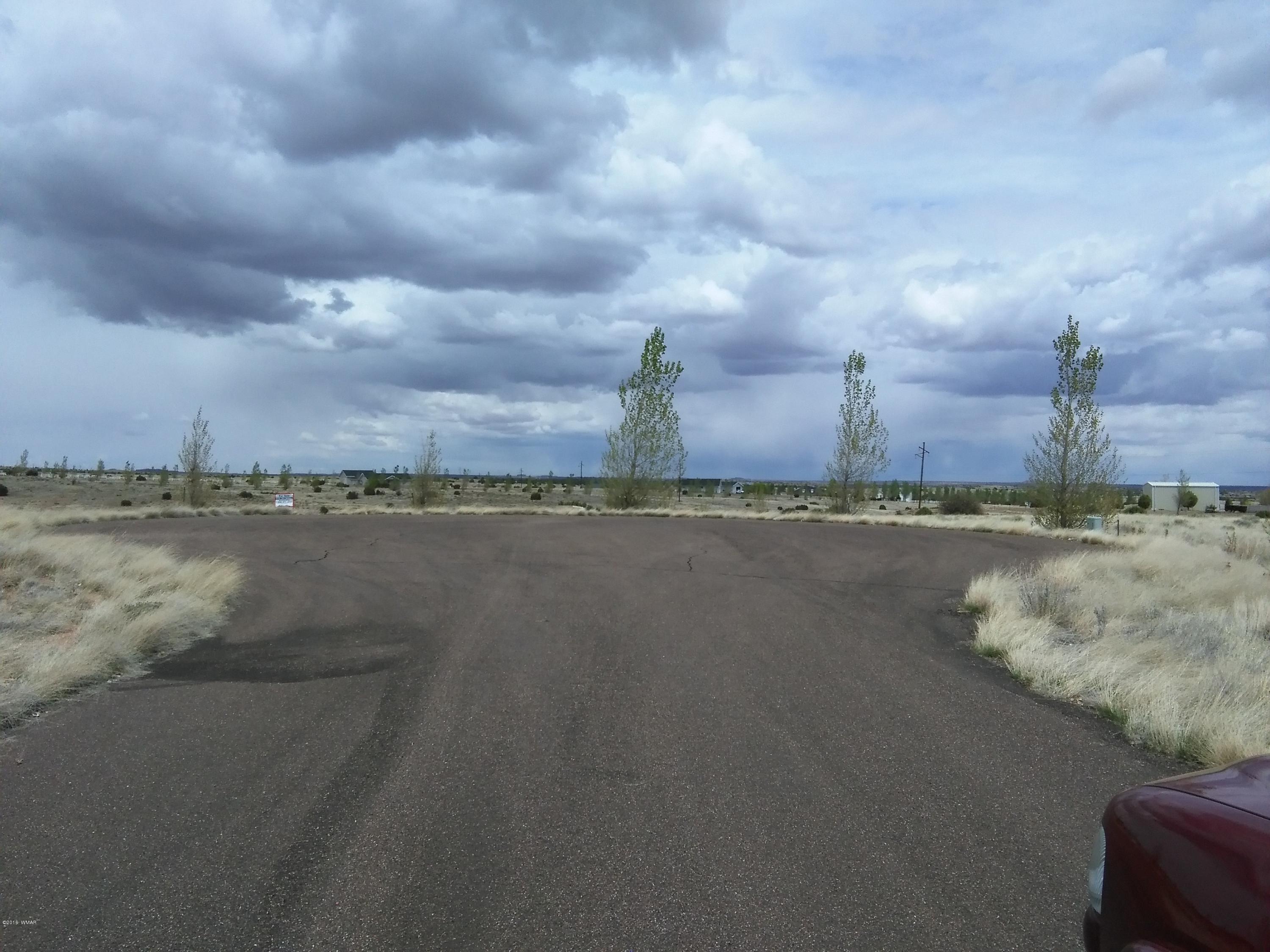Lot 69 West Haystack Circle Taylor, AZ 85939 - Photo 3 of 3