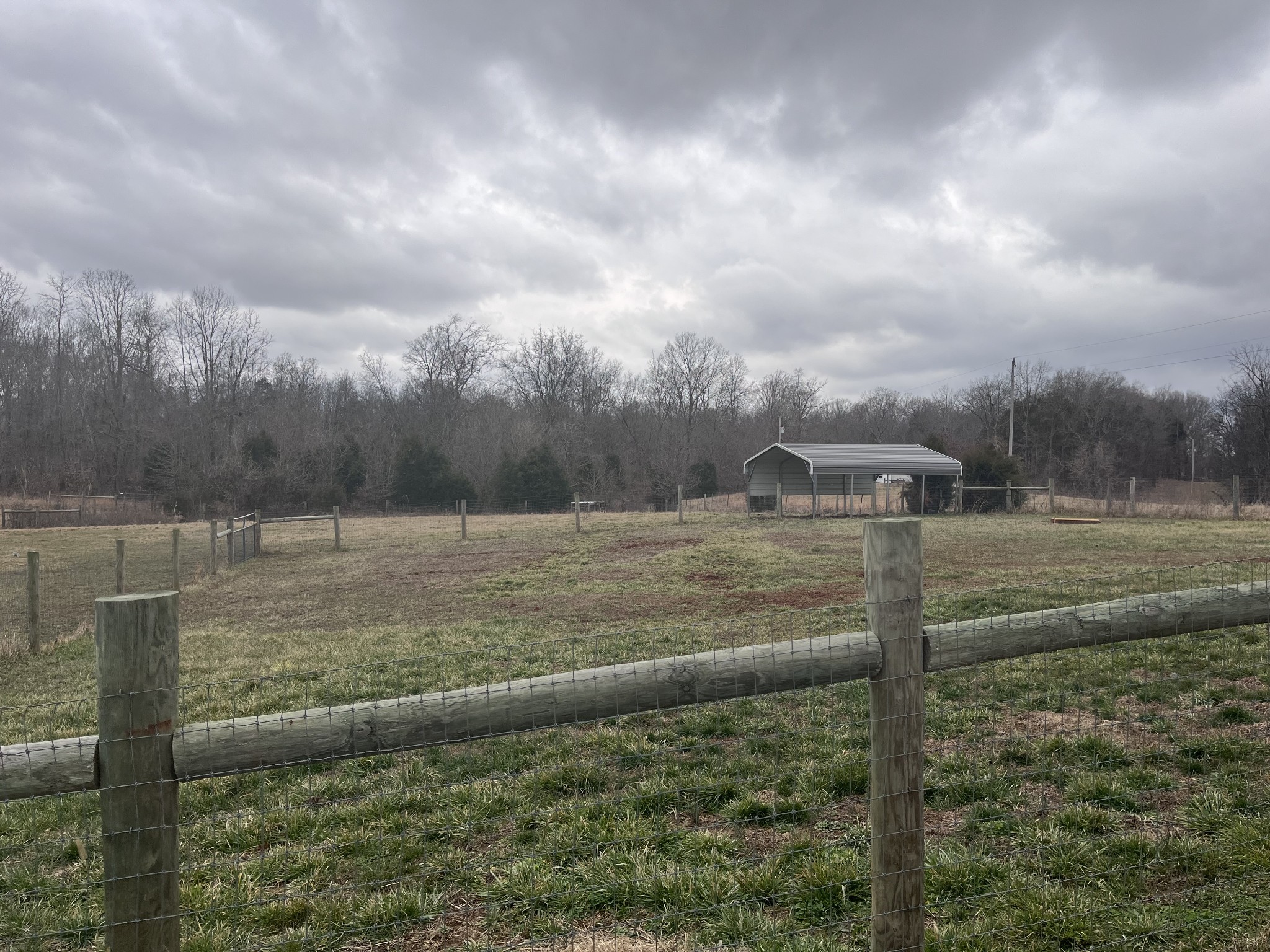 769 Hardy Road Cadiz, KY 42211 - Photo 5 of 15