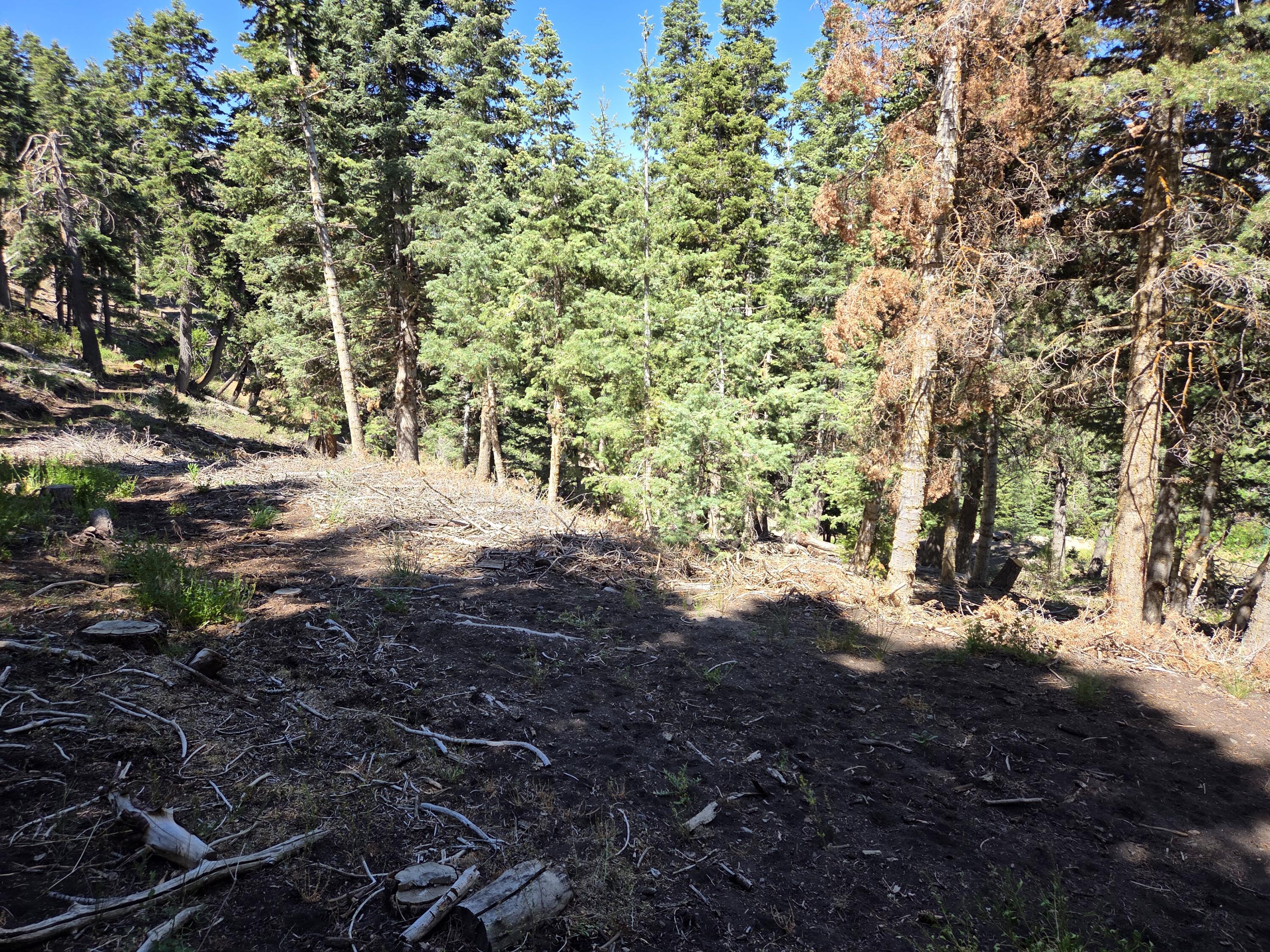 Braffits Creek, Unit 21 Cedar City, UT 84721 - Photo 22 of 25 1000007418
