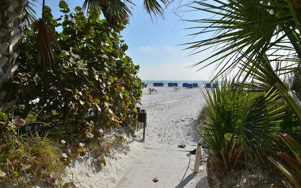 6285 Midnight Pass Road, Unit 403 Sarasota, FL 34242 - Photo 43 of 53 a picture of a tree