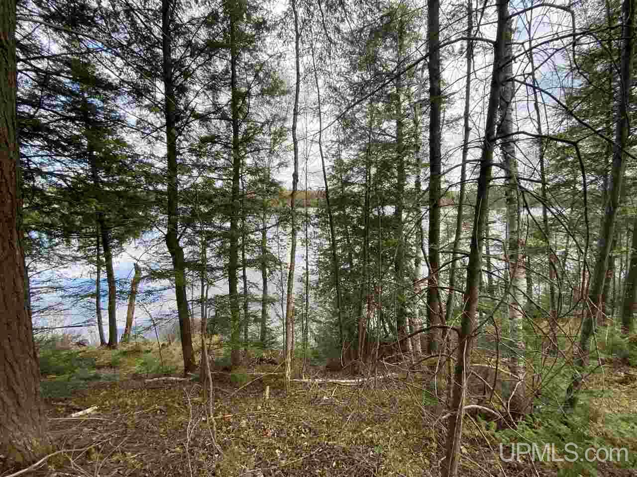 On On Chaney Cove Road, Unit LOT 1 Bessemer, MI 49911 - Photo 7 of 28
