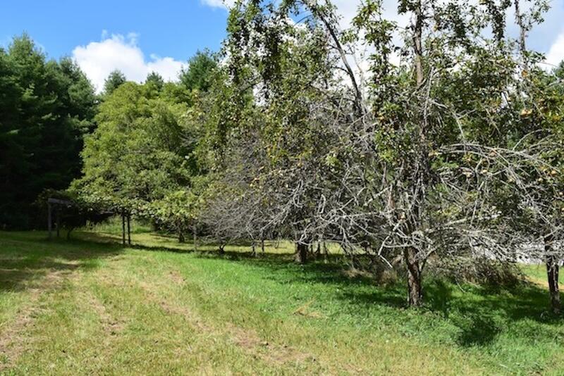 4706 Conner Grove Road Southwest Meadows Of Dan, VA 24120 - Photo 62 of 72 DSC_0286