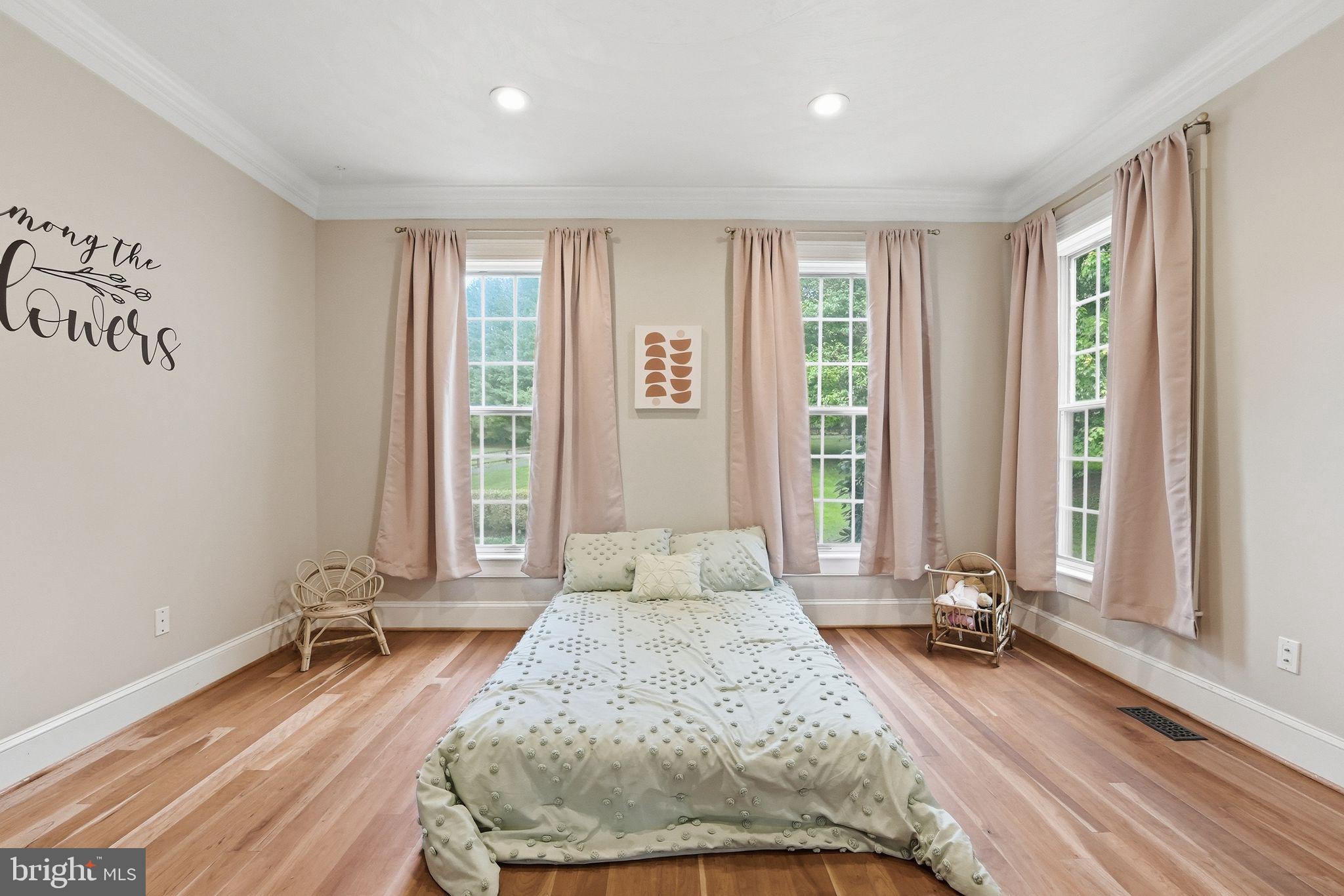 7724 Cannonball Gate Road Warrenton, VA 20186 - Photo 31 of 98 Main Level Bedroom