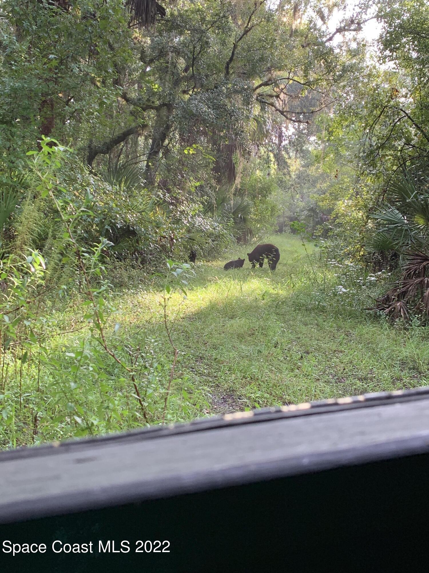 D D Johnson Mims, FL 32754 - Photo 22 of 25 IMG_4506