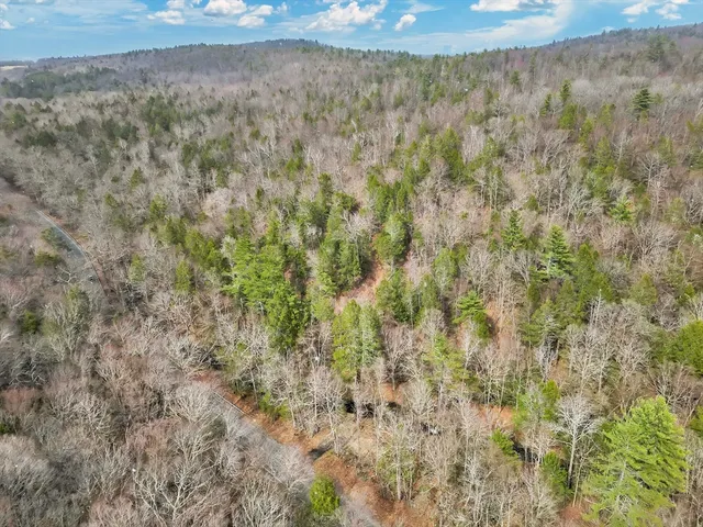 a view of a dry yard with wooden fence