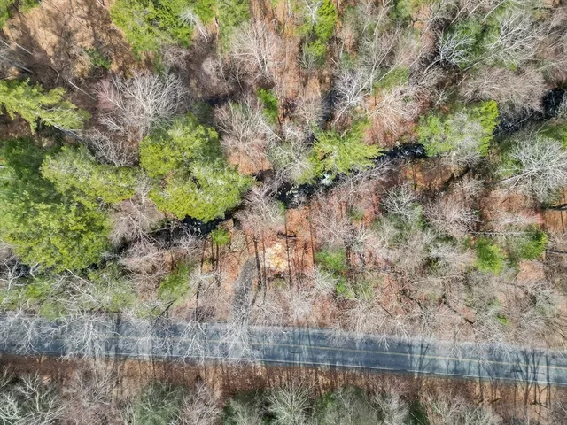 a view of a yard with plants