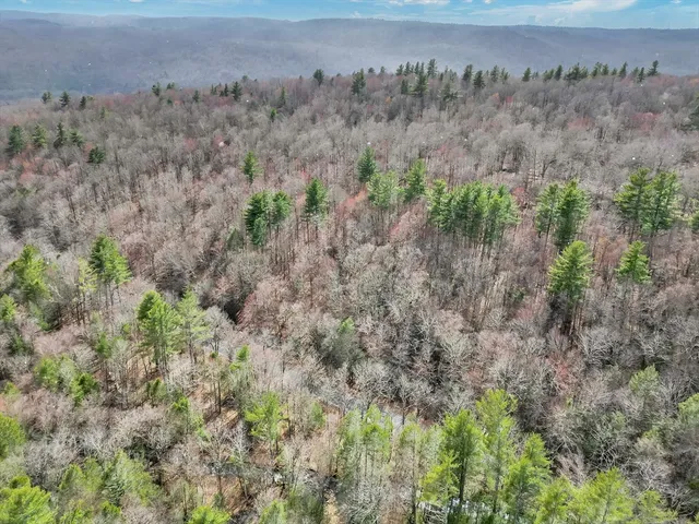 an aerial view of house with green field and trees in the background