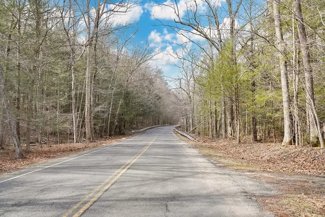 a view of a yard with trees