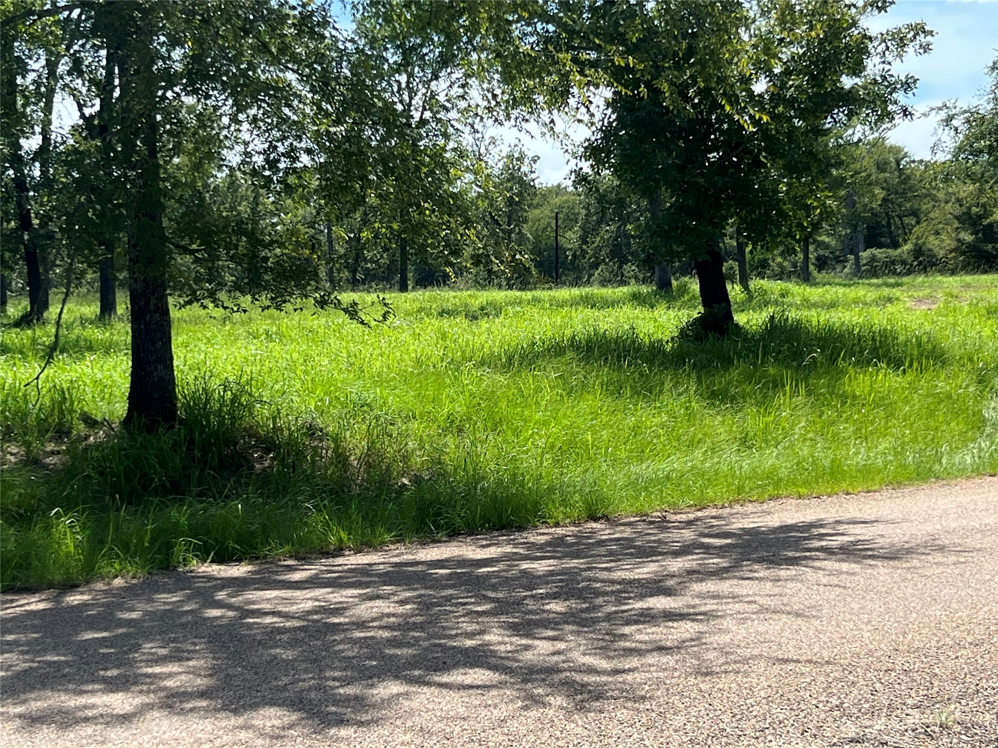 Tbd Hickory Loop Thornton, TX 76687 - Photo 3 of 8 a view of a park with large trees