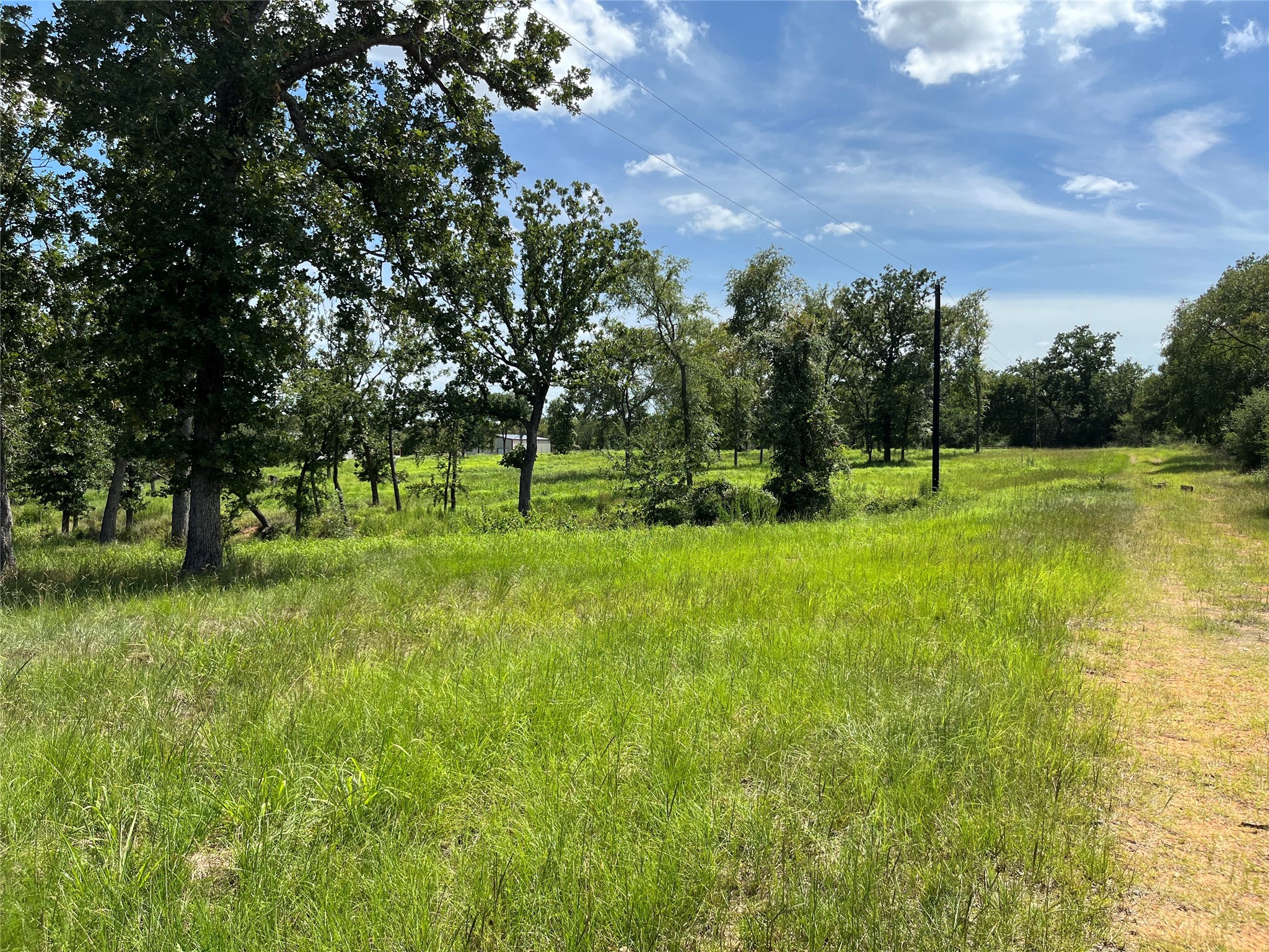 Tbd Hickory Loop Thornton, TX 76687 - Photo 5 of 8 a view of field with trees in the background